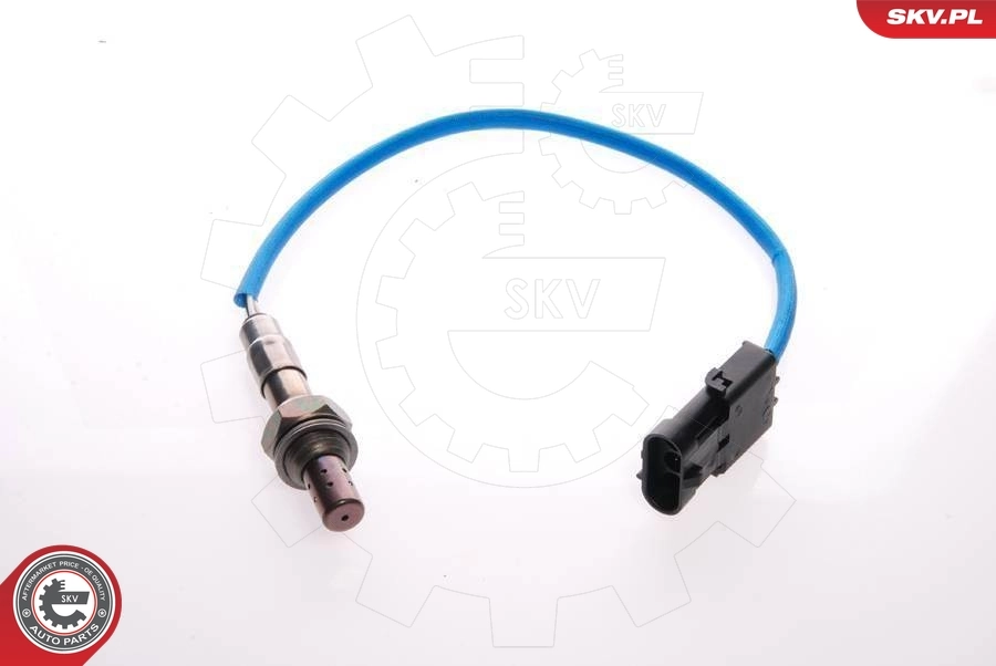 Oxygen Sensor